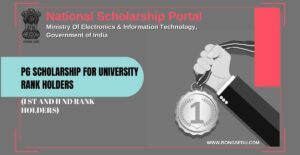 Post Graduate Scholarship for University Rank Holders