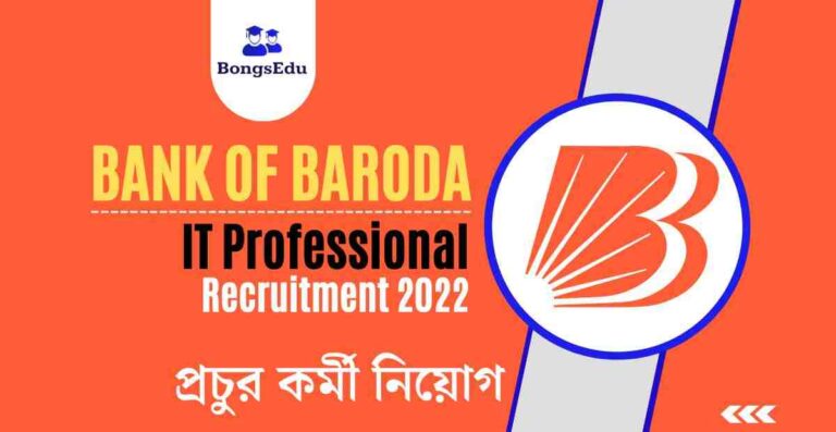 Bank of Baroda IT Professional Recruitment